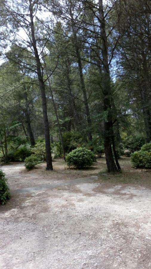 Le Clos Zinou Lambesc Esterno foto