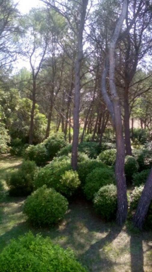 Le Clos Zinou Lambesc Esterno foto